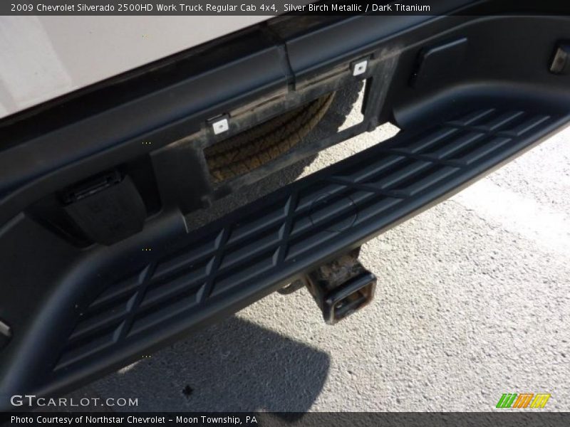 Silver Birch Metallic / Dark Titanium 2009 Chevrolet Silverado 2500HD Work Truck Regular Cab 4x4