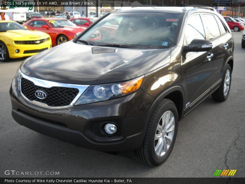 Java Brown / Black 2011 Kia Sorento EX V6 AWD