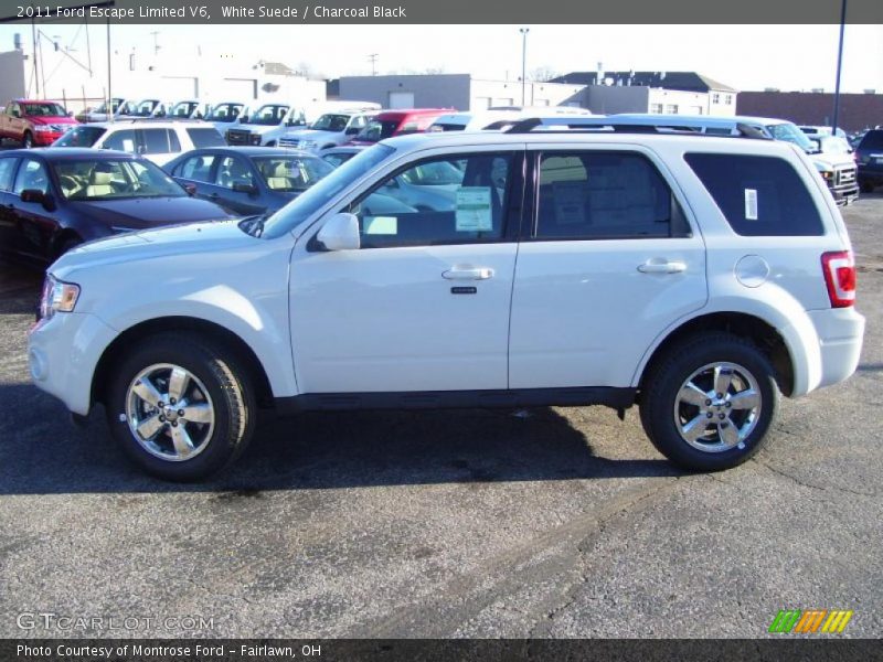 White Suede / Charcoal Black 2011 Ford Escape Limited V6