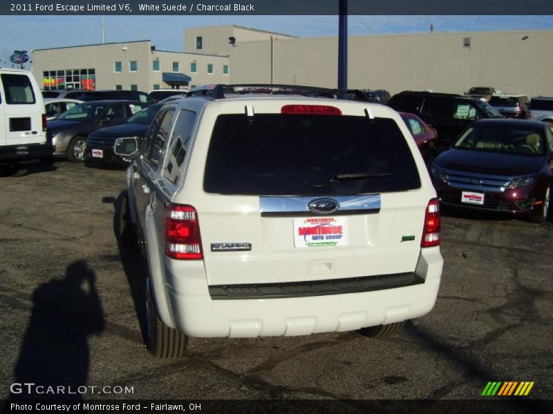 White Suede / Charcoal Black 2011 Ford Escape Limited V6