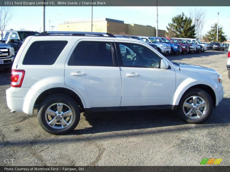 White Suede / Charcoal Black 2011 Ford Escape Limited V6