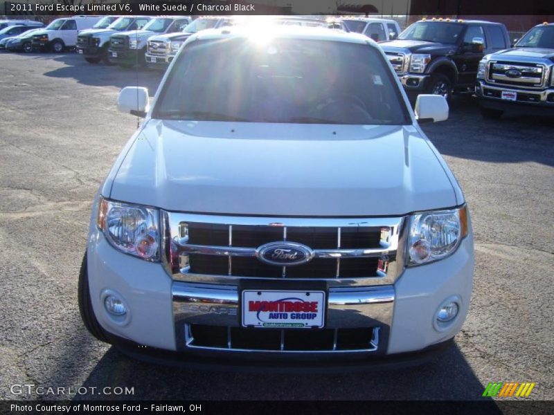 White Suede / Charcoal Black 2011 Ford Escape Limited V6