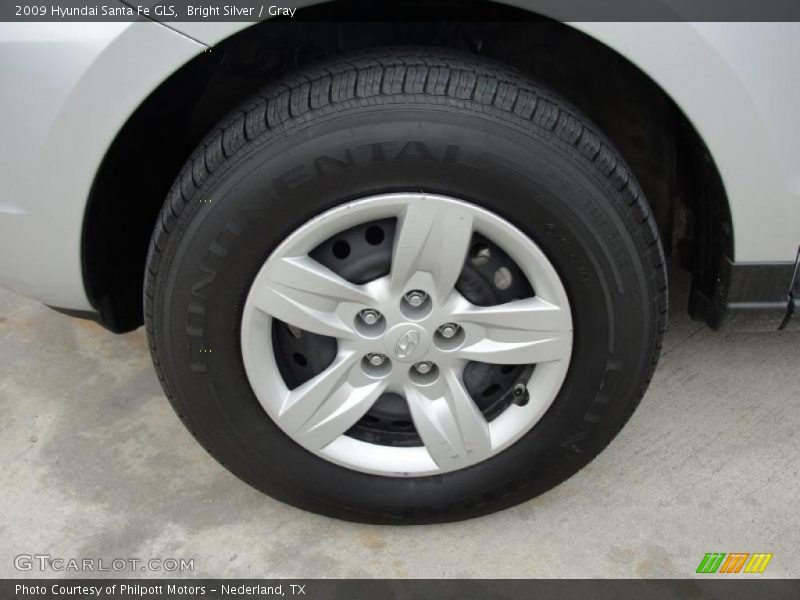 Bright Silver / Gray 2009 Hyundai Santa Fe GLS