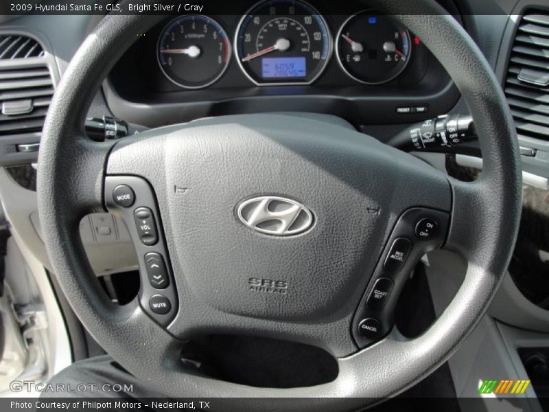 Bright Silver / Gray 2009 Hyundai Santa Fe GLS