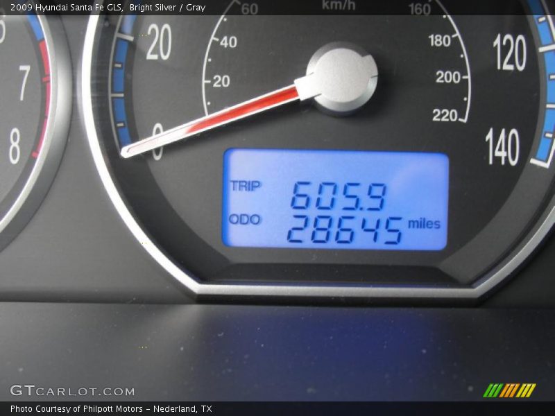 Bright Silver / Gray 2009 Hyundai Santa Fe GLS