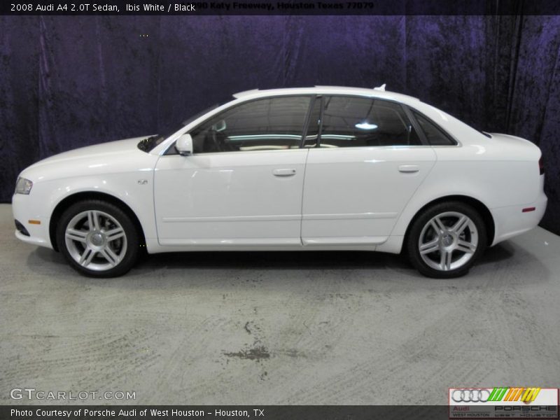 Ibis White / Black 2008 Audi A4 2.0T Sedan