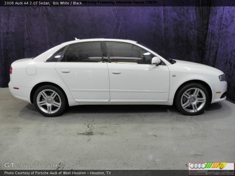 Ibis White / Black 2008 Audi A4 2.0T Sedan