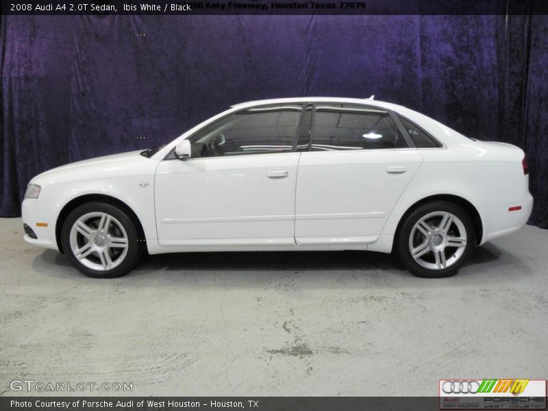 Ibis White / Black 2008 Audi A4 2.0T Sedan