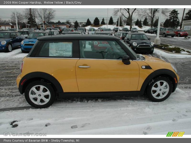 Mellow Yellow / Black/Grey 2009 Mini Cooper Hardtop