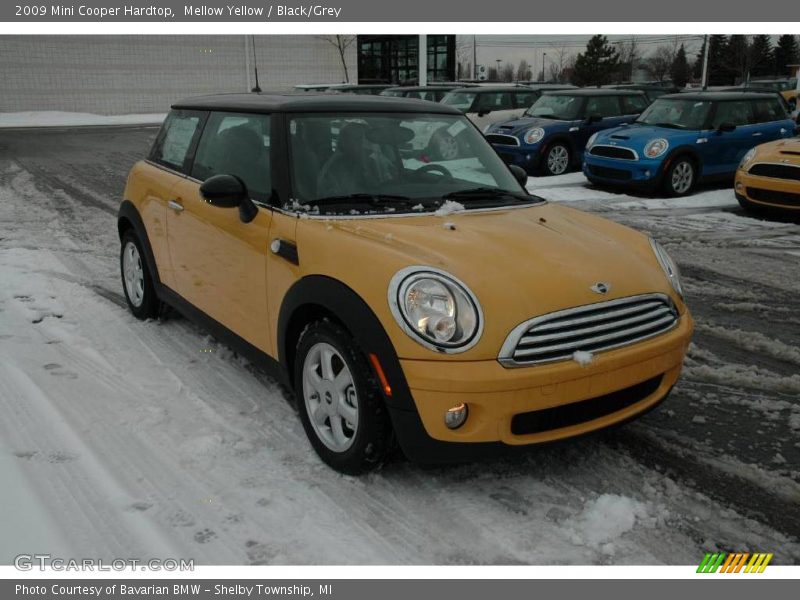 Mellow Yellow / Black/Grey 2009 Mini Cooper Hardtop