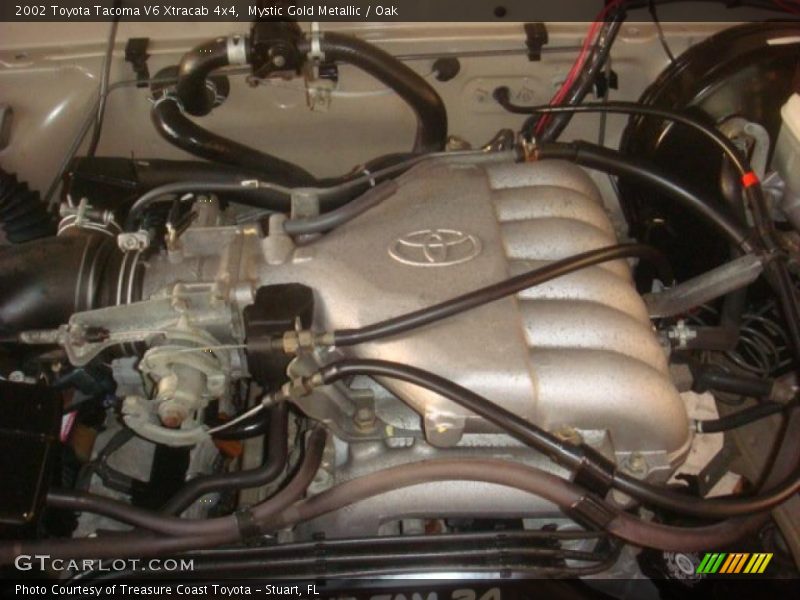 Mystic Gold Metallic / Oak 2002 Toyota Tacoma V6 Xtracab 4x4