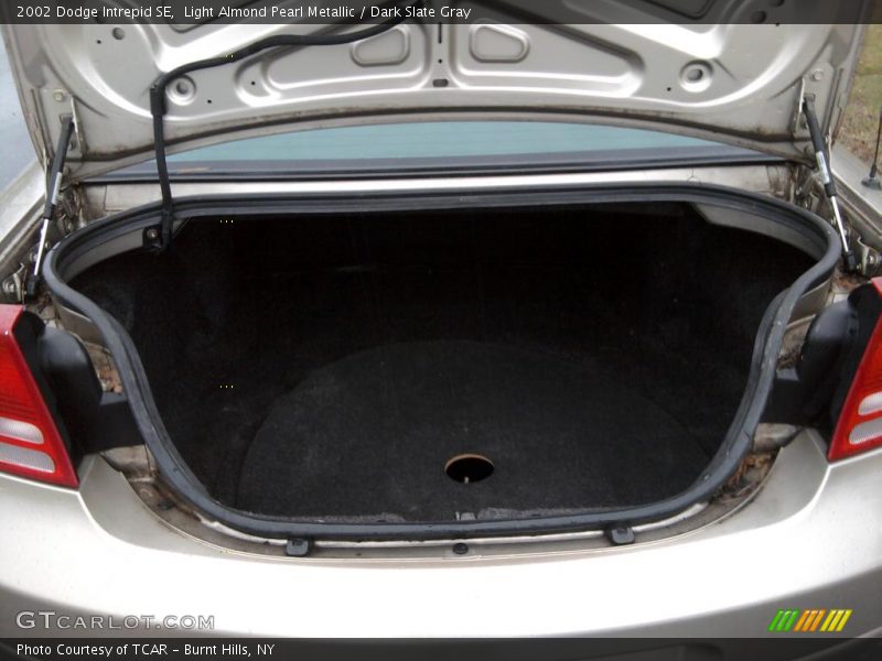 Light Almond Pearl Metallic / Dark Slate Gray 2002 Dodge Intrepid SE