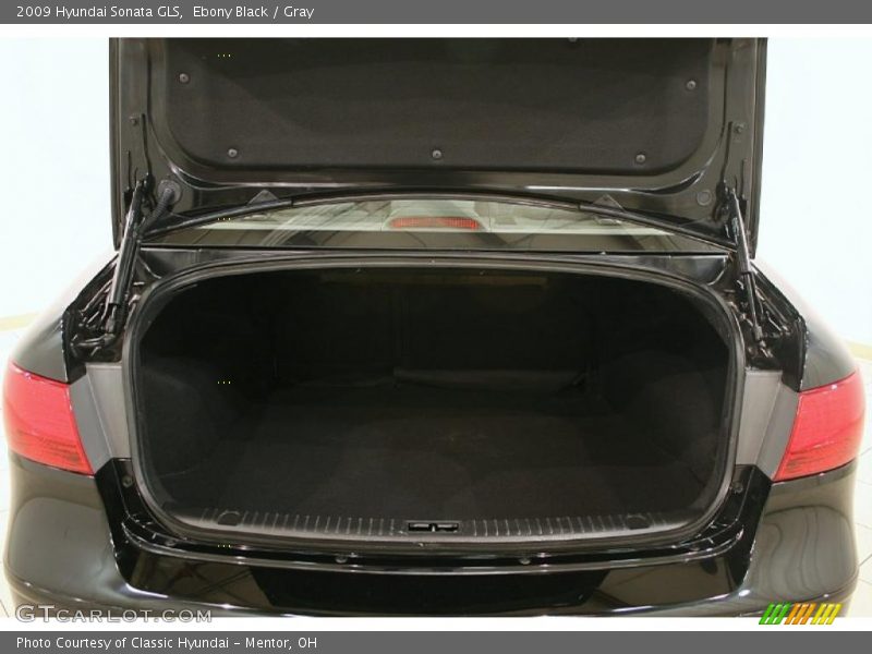 Ebony Black / Gray 2009 Hyundai Sonata GLS