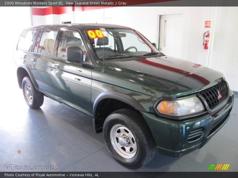 New Zealand Green Metallic / Gray 2000 Mitsubishi Montero Sport ES