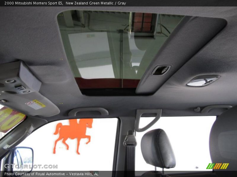 New Zealand Green Metallic / Gray 2000 Mitsubishi Montero Sport ES