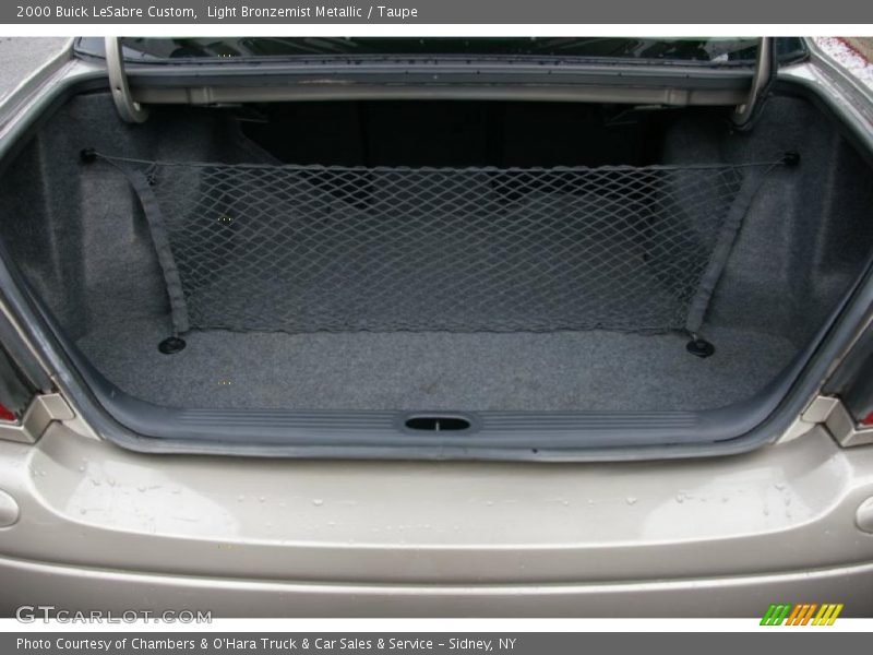 Light Bronzemist Metallic / Taupe 2000 Buick LeSabre Custom