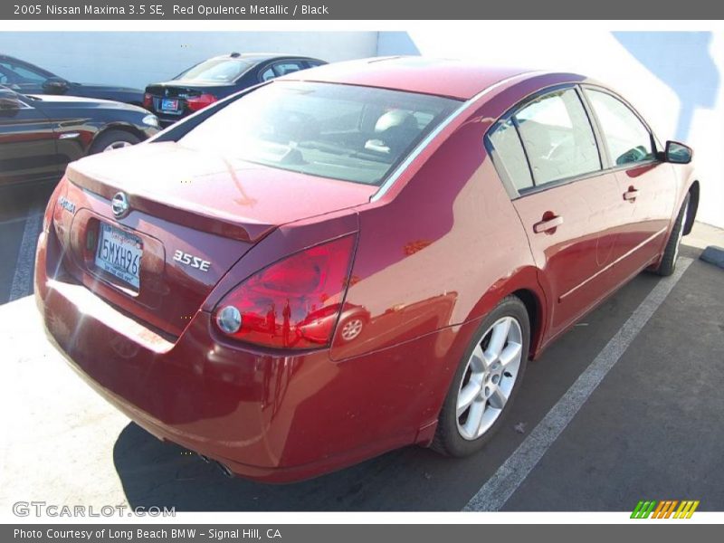 Red Opulence Metallic / Black 2005 Nissan Maxima 3.5 SE