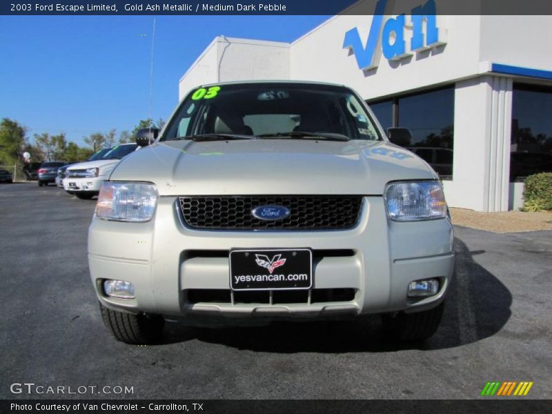 Gold Ash Metallic / Medium Dark Pebble 2003 Ford Escape Limited