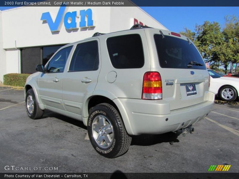 Gold Ash Metallic / Medium Dark Pebble 2003 Ford Escape Limited