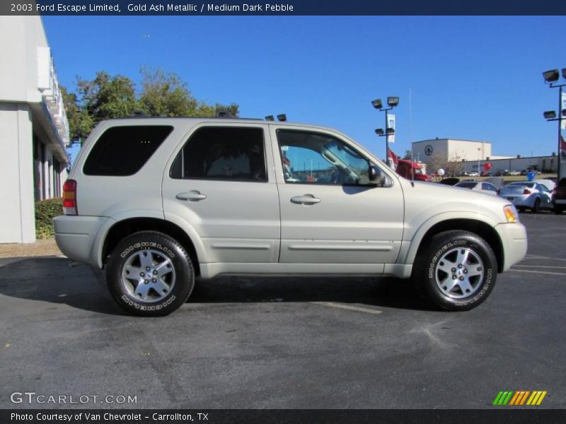  2003 Escape Limited Gold Ash Metallic