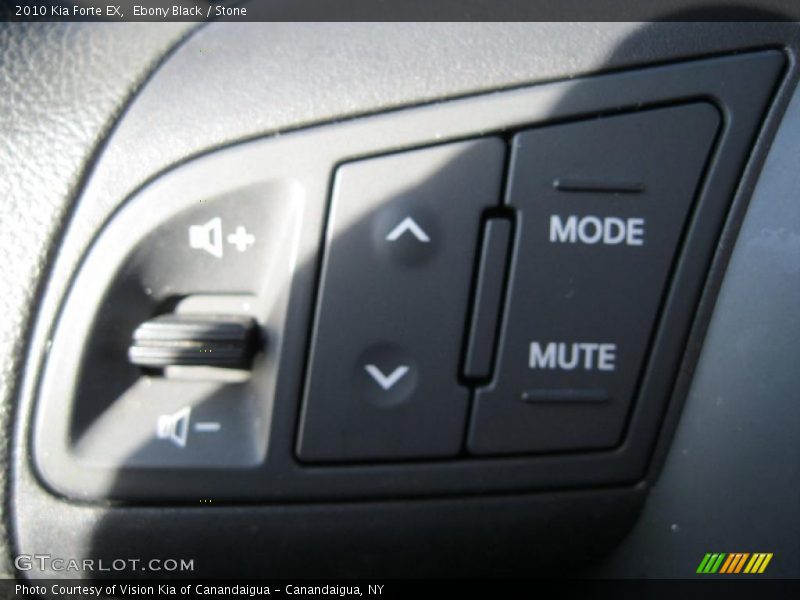 Ebony Black / Stone 2010 Kia Forte EX