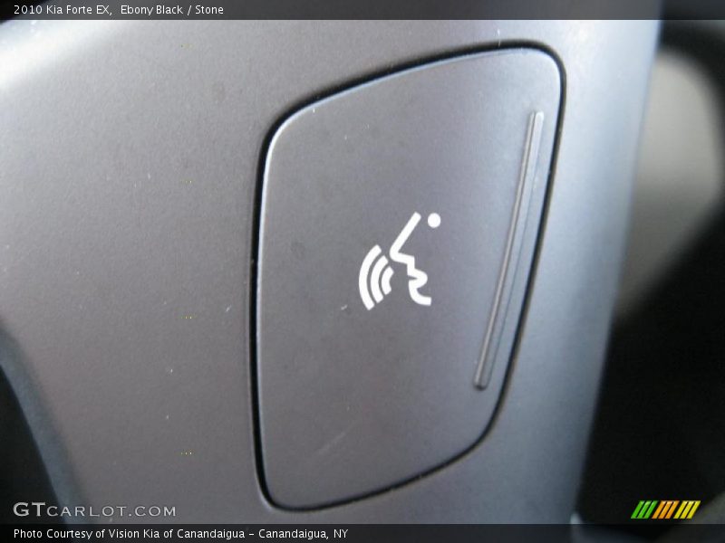 Ebony Black / Stone 2010 Kia Forte EX
