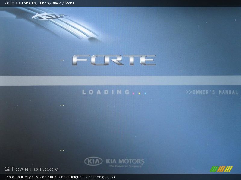Ebony Black / Stone 2010 Kia Forte EX