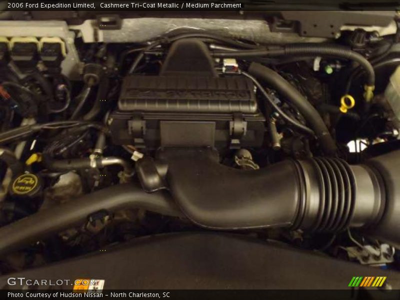 Cashmere Tri-Coat Metallic / Medium Parchment 2006 Ford Expedition Limited