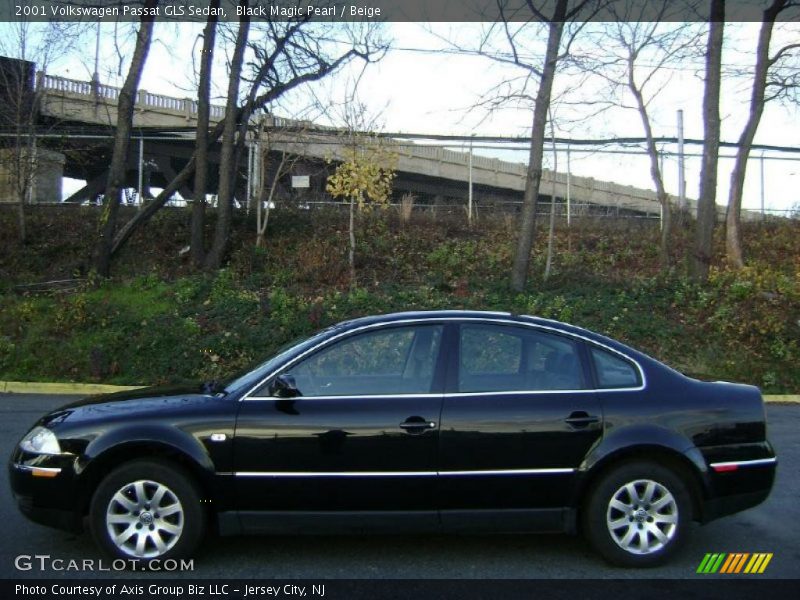 Black Magic Pearl / Beige 2001 Volkswagen Passat GLS Sedan