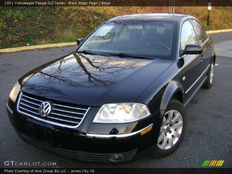 Black Magic Pearl / Beige 2001 Volkswagen Passat GLS Sedan