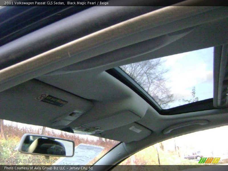 Black Magic Pearl / Beige 2001 Volkswagen Passat GLS Sedan