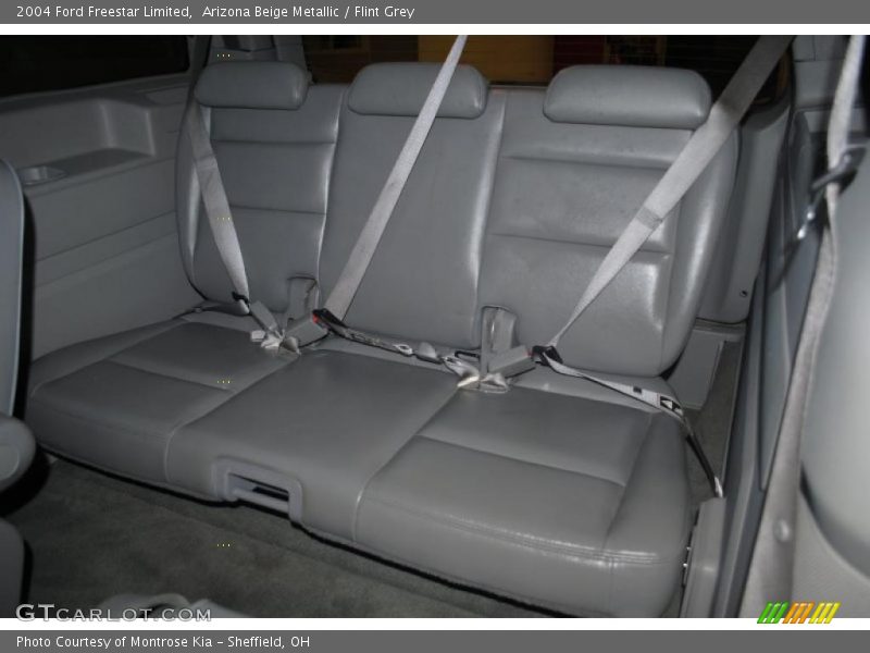 Arizona Beige Metallic / Flint Grey 2004 Ford Freestar Limited