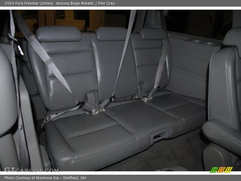 Arizona Beige Metallic / Flint Grey 2004 Ford Freestar Limited