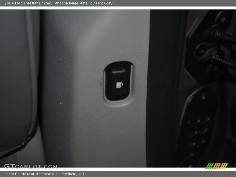 Arizona Beige Metallic / Flint Grey 2004 Ford Freestar Limited