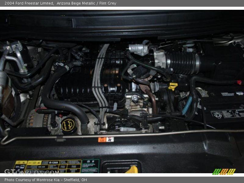 Arizona Beige Metallic / Flint Grey 2004 Ford Freestar Limited