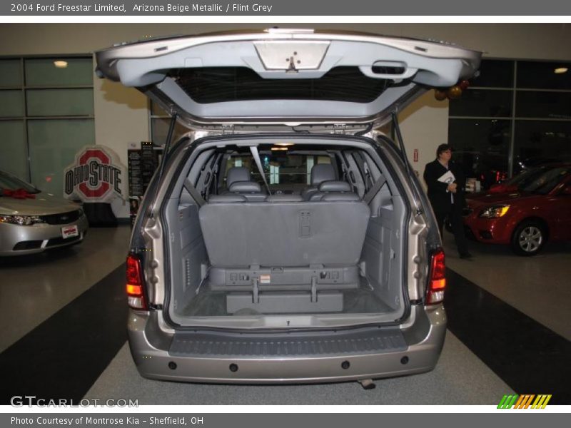 Arizona Beige Metallic / Flint Grey 2004 Ford Freestar Limited