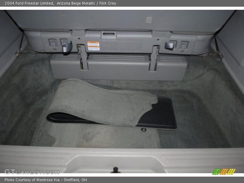 Arizona Beige Metallic / Flint Grey 2004 Ford Freestar Limited