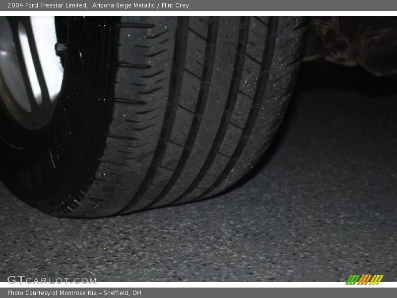 Arizona Beige Metallic / Flint Grey 2004 Ford Freestar Limited