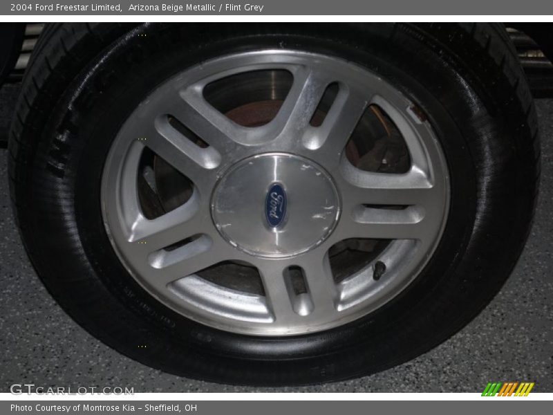 Arizona Beige Metallic / Flint Grey 2004 Ford Freestar Limited