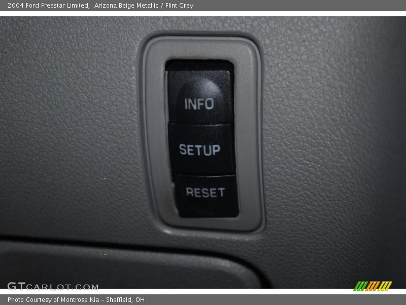 Arizona Beige Metallic / Flint Grey 2004 Ford Freestar Limited