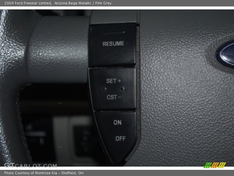Arizona Beige Metallic / Flint Grey 2004 Ford Freestar Limited