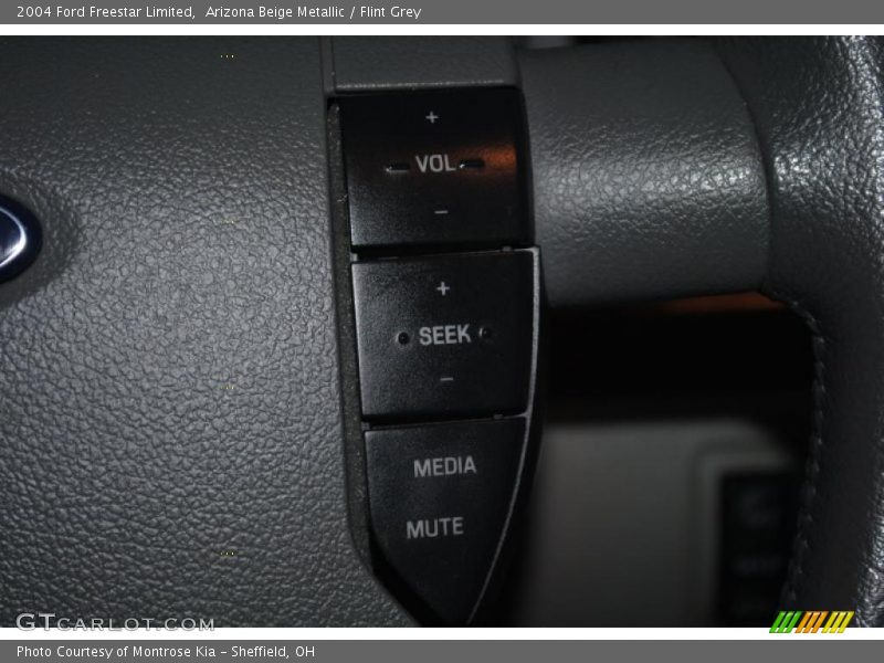 Arizona Beige Metallic / Flint Grey 2004 Ford Freestar Limited