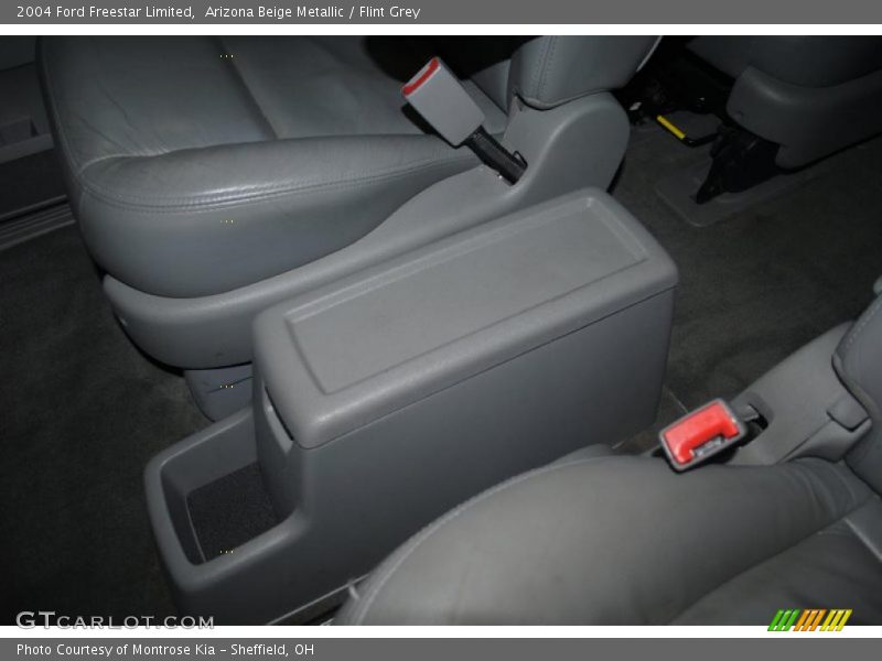 Arizona Beige Metallic / Flint Grey 2004 Ford Freestar Limited