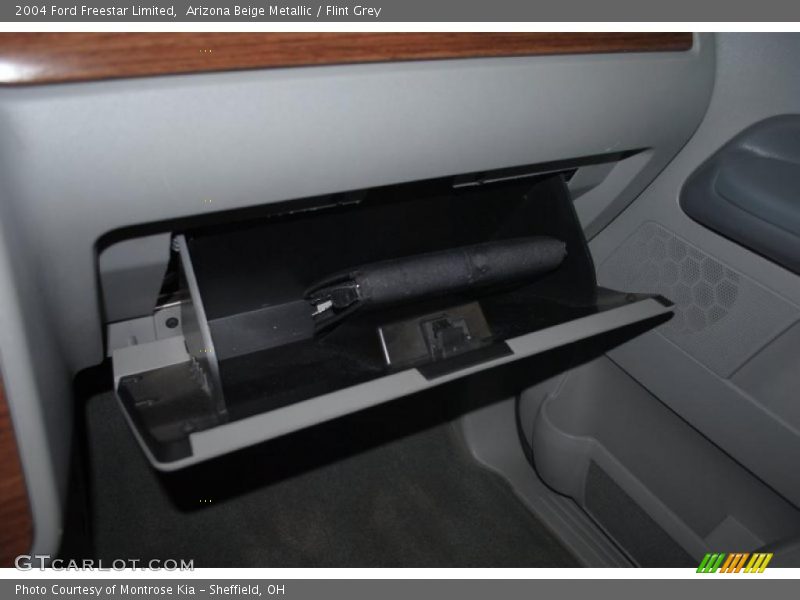 Arizona Beige Metallic / Flint Grey 2004 Ford Freestar Limited