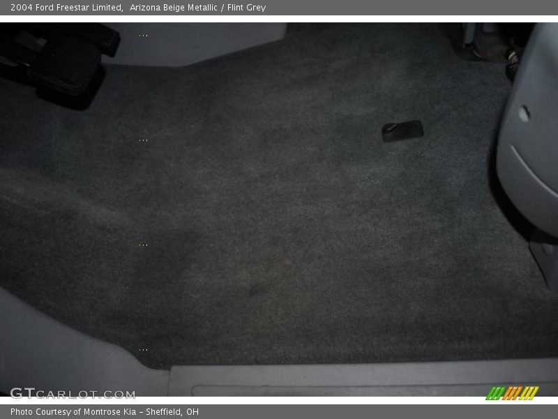 Arizona Beige Metallic / Flint Grey 2004 Ford Freestar Limited