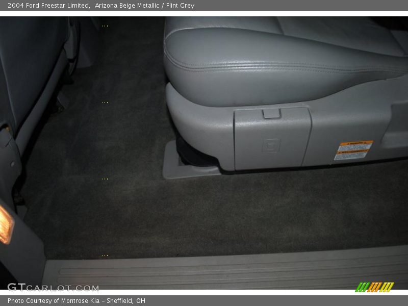 Arizona Beige Metallic / Flint Grey 2004 Ford Freestar Limited