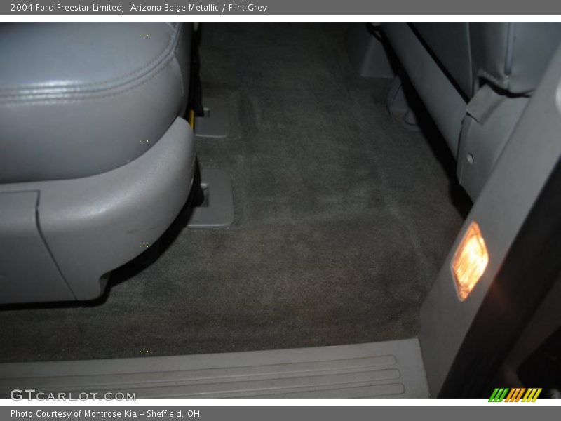 Arizona Beige Metallic / Flint Grey 2004 Ford Freestar Limited