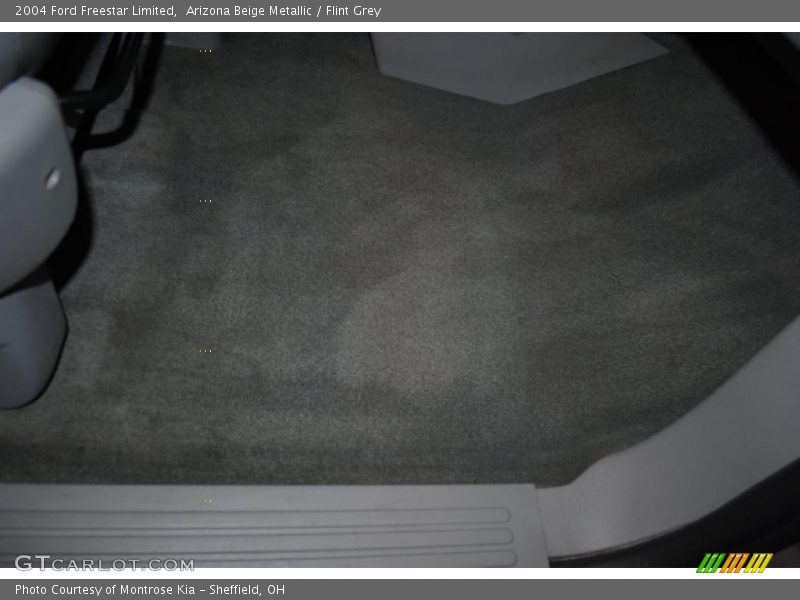 Arizona Beige Metallic / Flint Grey 2004 Ford Freestar Limited