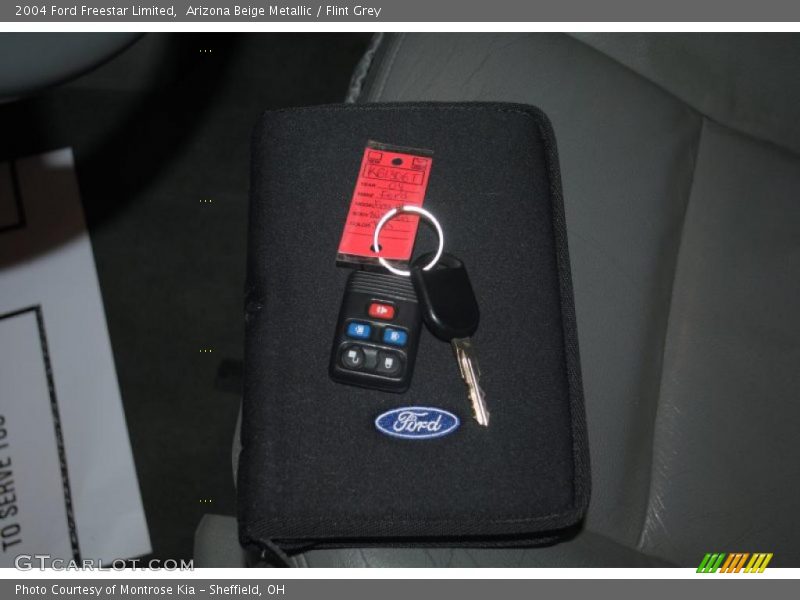 Arizona Beige Metallic / Flint Grey 2004 Ford Freestar Limited