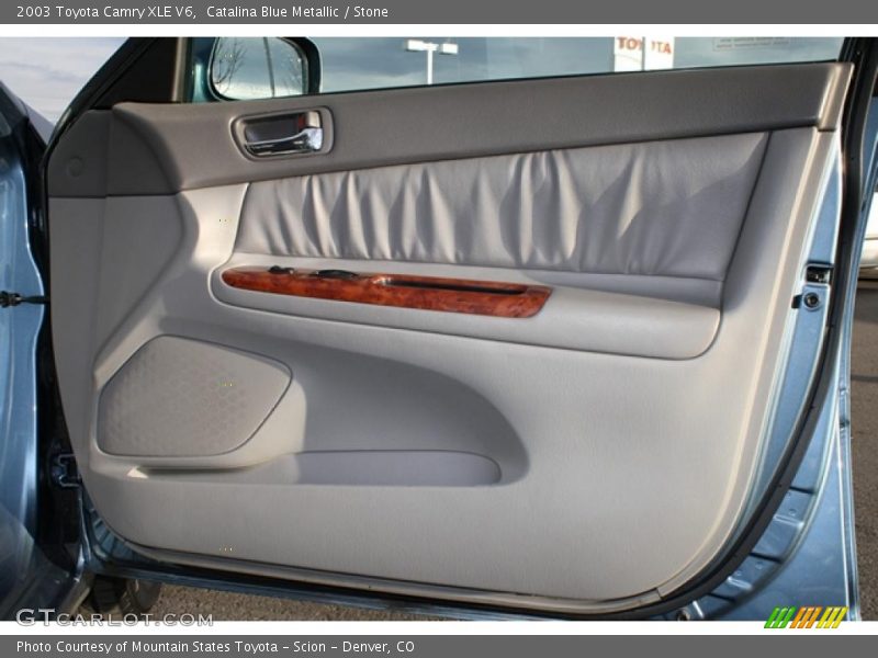 Door Panel of 2003 Camry XLE V6